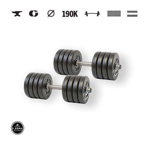 GazoFitness® Kurzhanteln 2 × 10,5 kg (gesamt 21 kg) mit Scheiben 1,25 kg