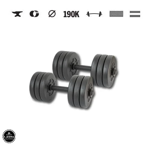 GazoFitness® Kurzhanteln 2 × 8,5 kg (gesamt 17 kg) mit Gewindestangen – Scheiben 12 × 1,25 kg