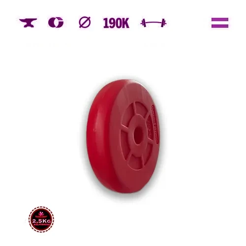GazoFitness® Kurzhanteln 2 × 16,5 kg (gesamt 33 kg), schwarz-rot – Bild 6