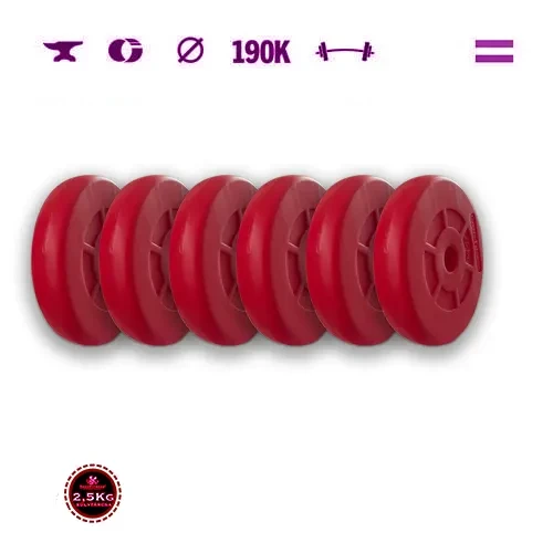 GazoFitness® Hantelscheiben 6 × 2,5 kg (gesamt 15 kg), rot